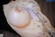 A woman with a lot of dirt on her breasts.